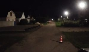Женщина пострадала в ДТП с собакой в Лукояновском районе