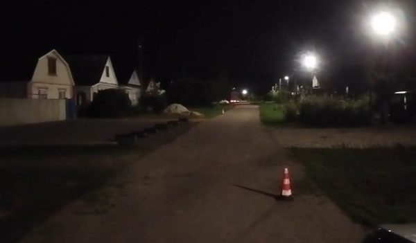 Женщина пострадала в ДТП с собакой в Лукояновском районе
