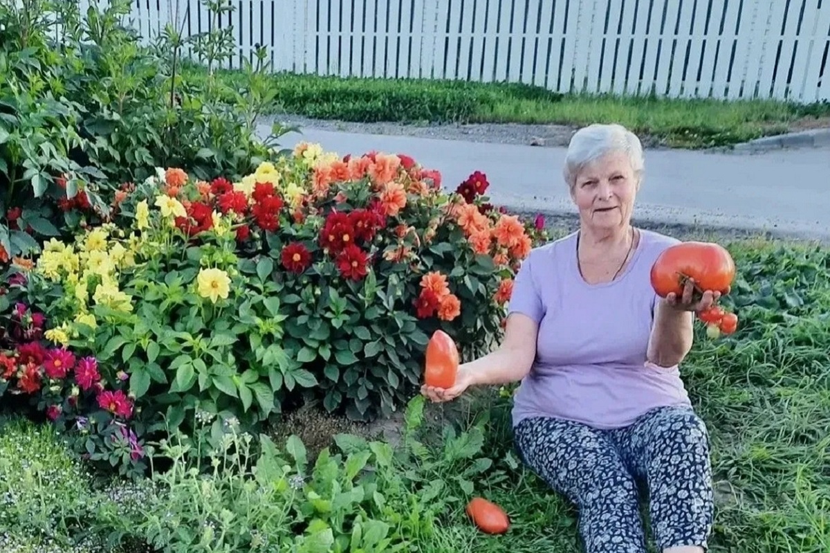 Нижегородка рассказала о секретах выращивания томатов
