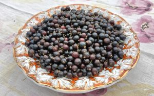 Юлия Полякова