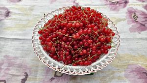 Юлия Полякова