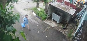 Кошка, подброшенная к воротам нижегородского приюта, сбежала из переноски