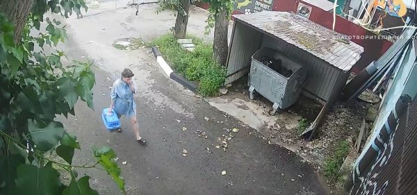 Кошка, подброшенная к воротам нижегородского приюта, сбежала из переноски