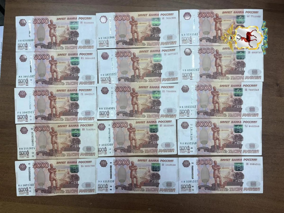 Курьера мошенников задержали при попытке похитить миллион рублей у пенсионерки