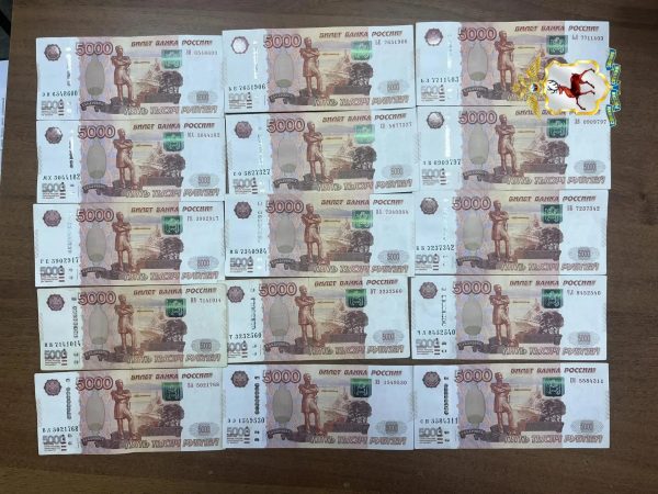 Курьера мошенников задержали при попытке похитить миллион рублей у пенсионерки