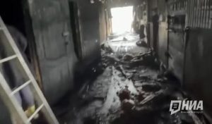 Стало известно о последствиях крупного пожара в нижегородской конюшне