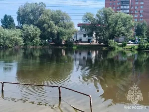 Мужчина утонул на озере Больничном в Нижнем Новгороде