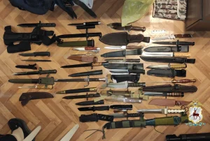 В Нижнем Новгороде у доцента института нашли арсенал оружия