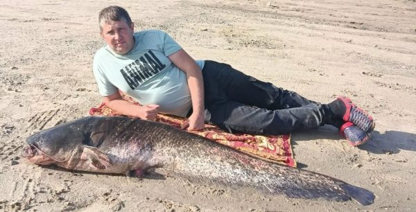 Нижегородец поймал 35-килограммового сома на&nbsp;Оке