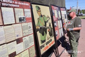 Александр Воложанин
