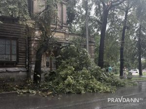 pravda-nn.ru