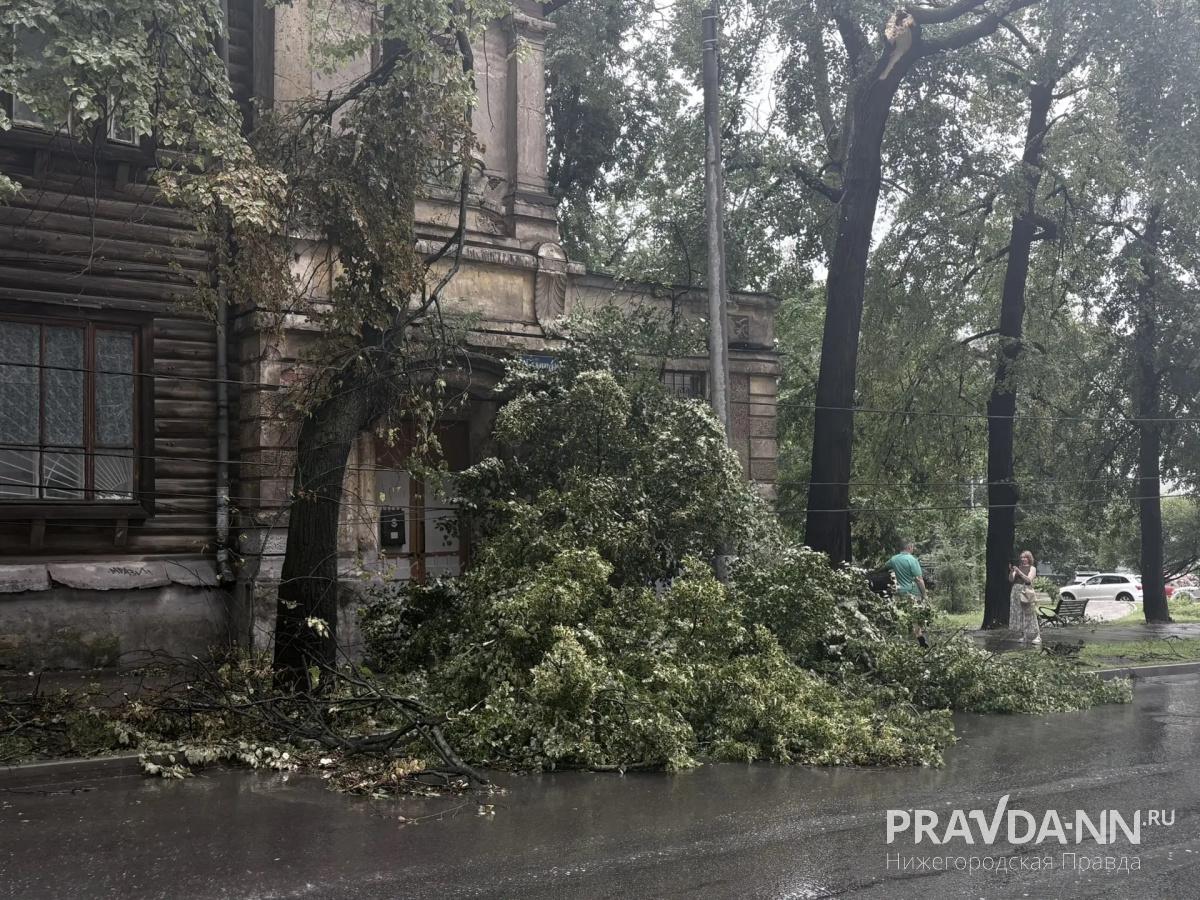 pravda-nn.ru