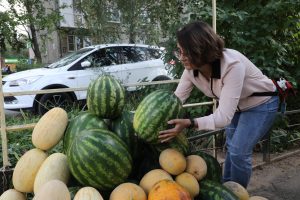 Стучать бесполезно: как выбрать идеальный арбуз
