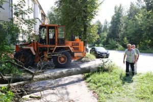 93 обращения поступили в службы Дзержинска после ураганного ветра