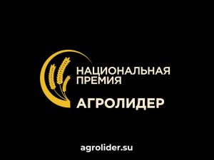 Фонд «Защитники Отечества» приглашает ветеранов СВО на «Гимн&nbsp;села»