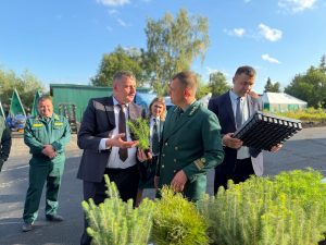 В Богородском округе заложили памятную посадку лесоводов