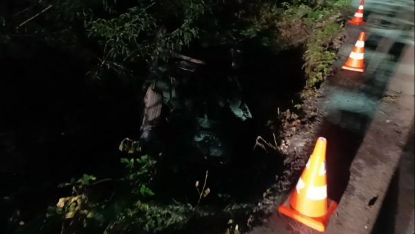 Автомобиль упал в болото в Володарском округе
