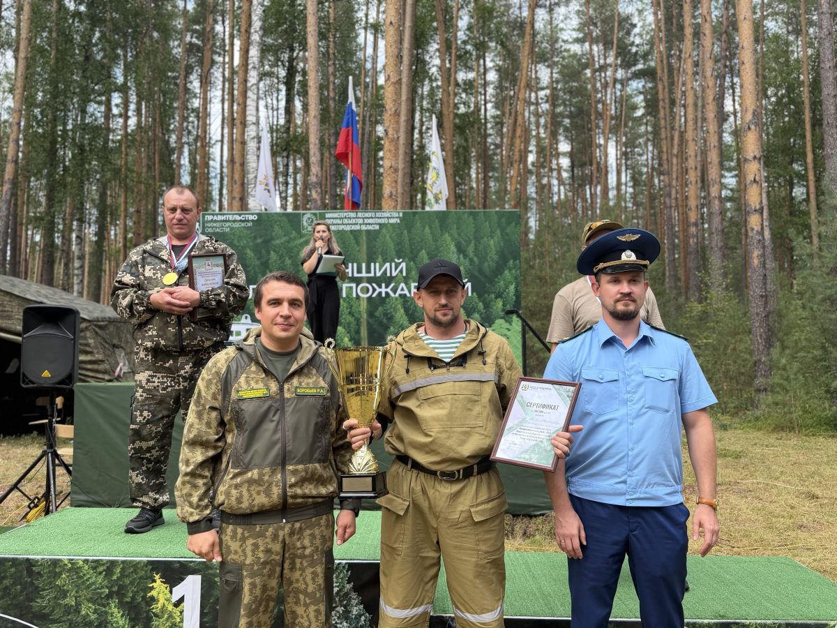 В Нижегородской области определили лучшего лесного пожарного