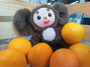 Секрет Чебурашки