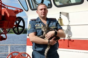 Пушистый строй: нижегородские спасатели рассказали, как коты служат в МЧС