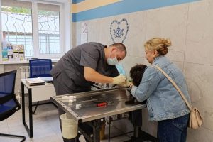 Государственная ветклиника Ленинского района открылась после ремонта