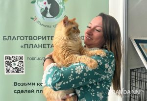 Найти своего человека: как помогают питомцам в центре «Планета кошек»