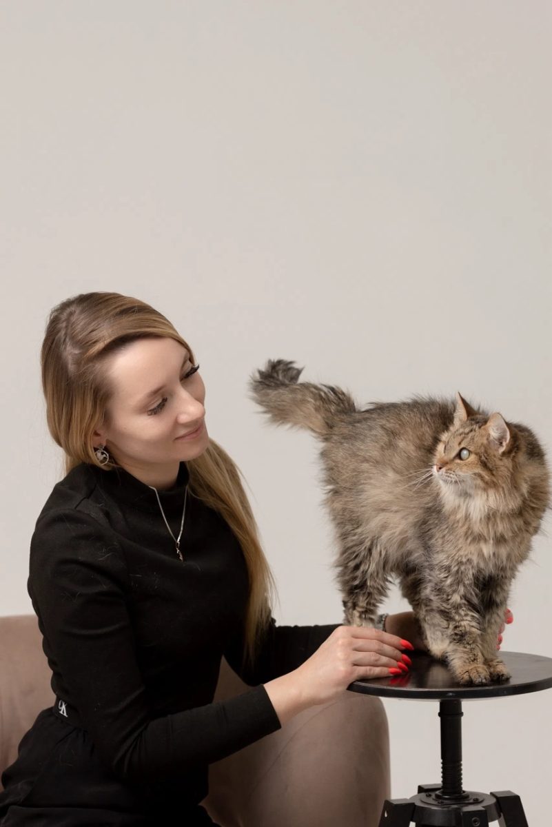 Кошкам нужна не только еда, но также внимание и ласка