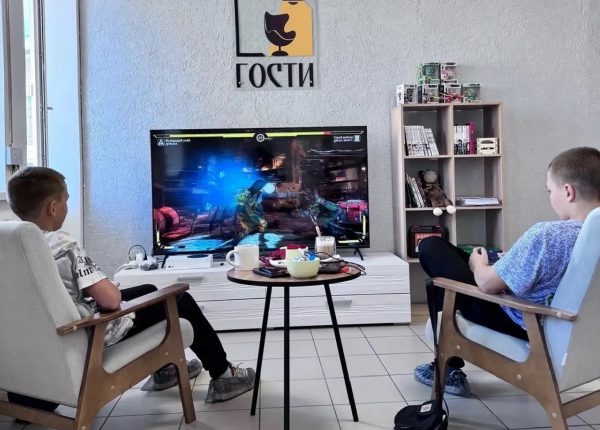 От ягодной плантации до ростовых кукол: как соцконтракты помогают нижегородцам развивать свой бизнес
