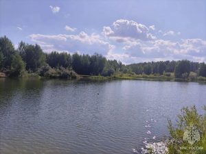 15-летний подросток утонул в безымянном пруду в Кулебаках