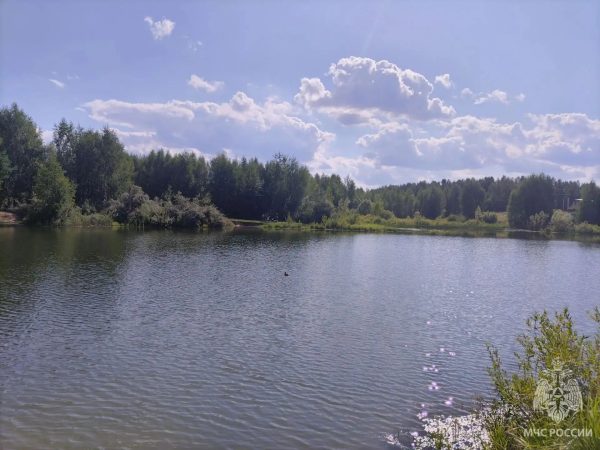15-летний подросток утонул в безымянном пруду в Кулебаках