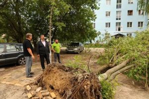 В Дзержинске устраняют последствия ураганного ветра