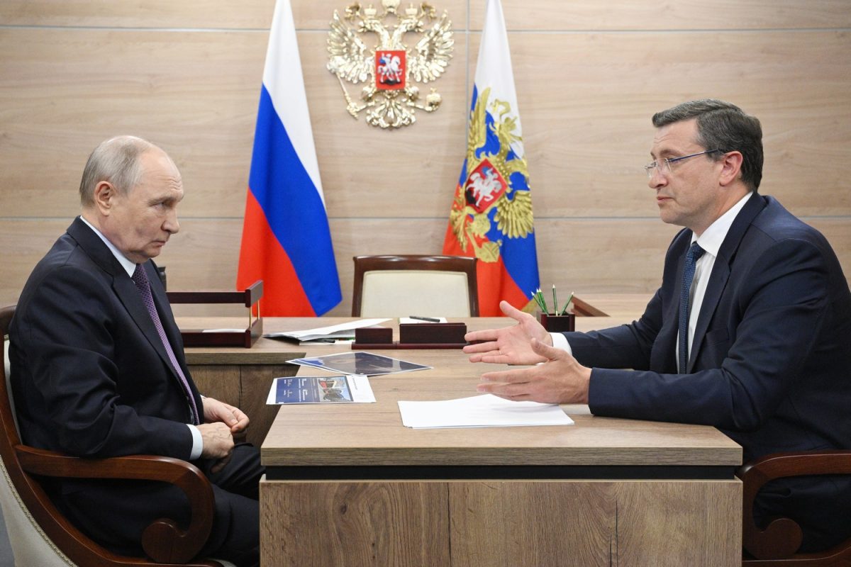 Глеб Никитин доложил Владимиру Путину о развитии демографии и здравоохранения