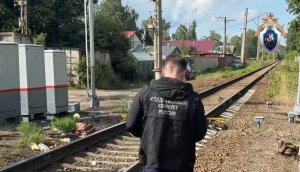 Поезд насмерть сбил нижегородку на перегоне Костариха — Починки