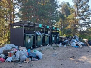 "Отходы не вывозят неделями": жители Борского округа утопают в мусоре
