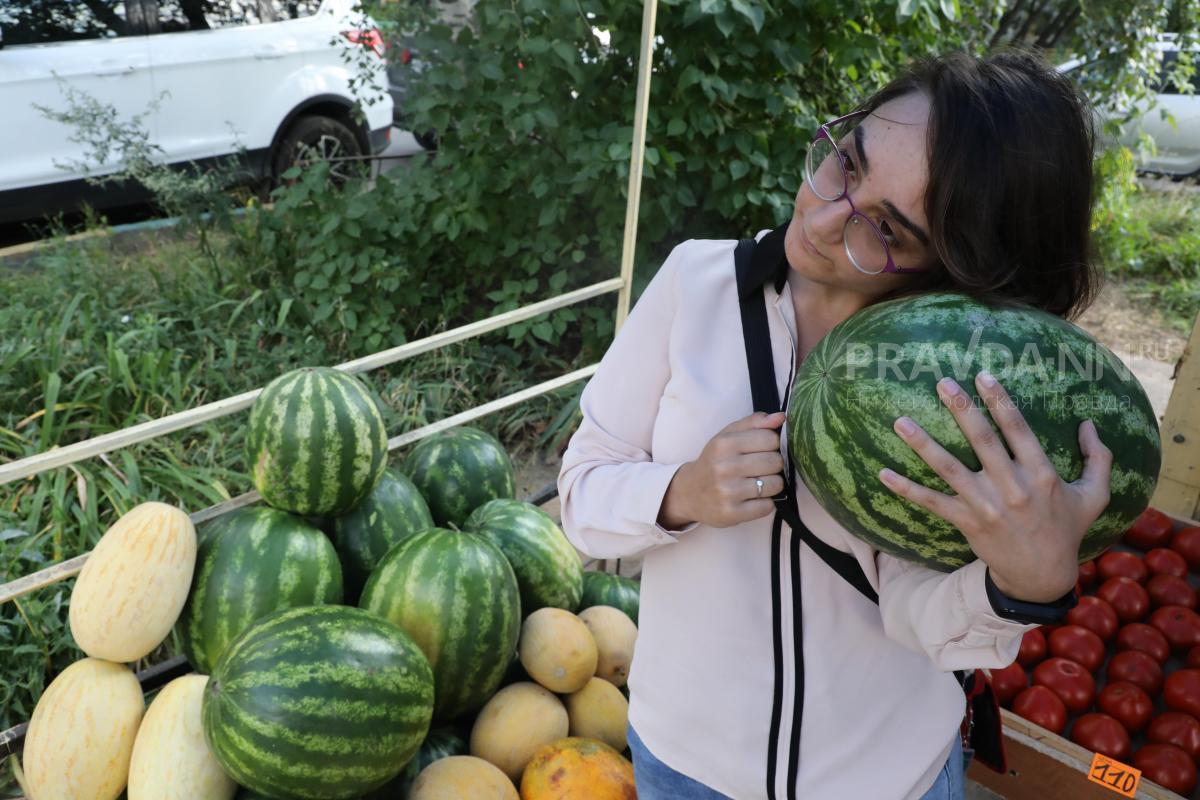 Квадратные и черные: выяснилось, какие арбузы предпочитают нижегородцы