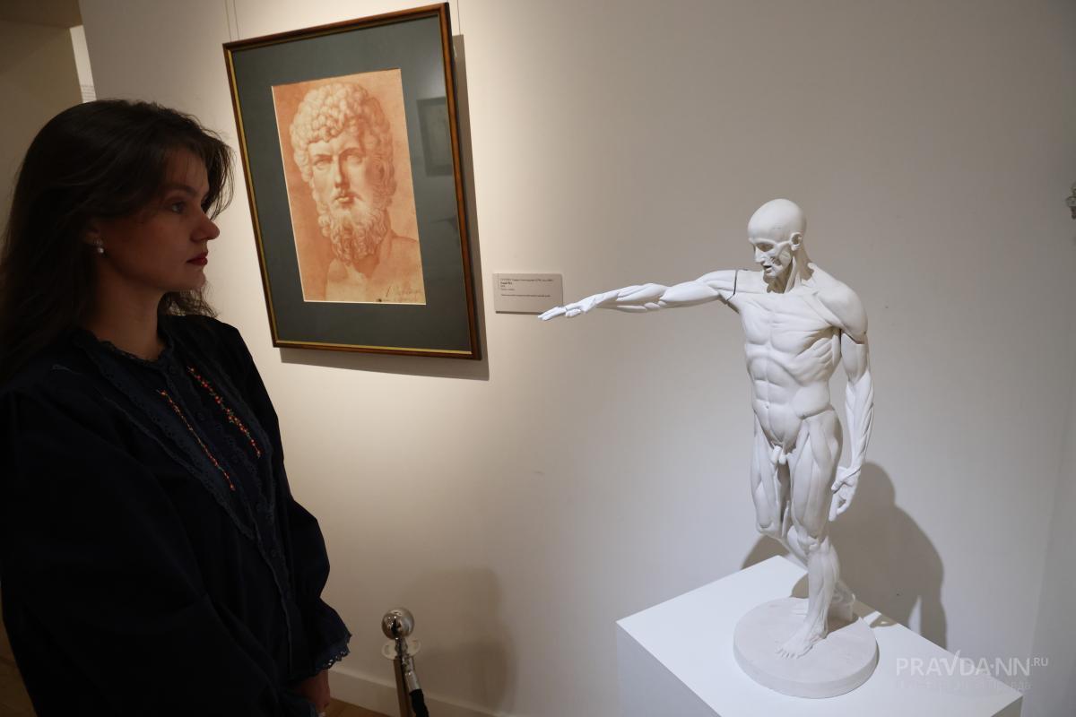 Выставка к 250-летию Александра Ступина