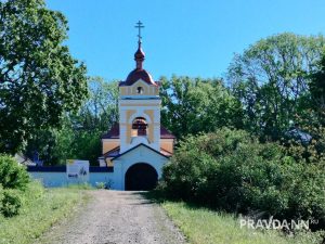 Юлия Майорова