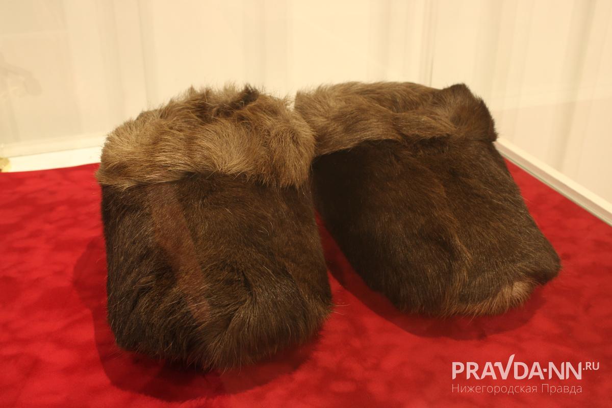 Кира Папилова