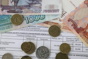 В Совфеде предложили изменить подход к назначению льгот