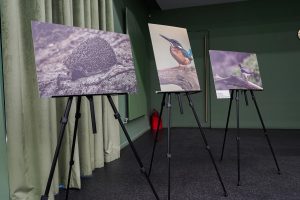 Выставка лучших работ участников «Школы фотонатуралиста» открылась в Доме народного единства