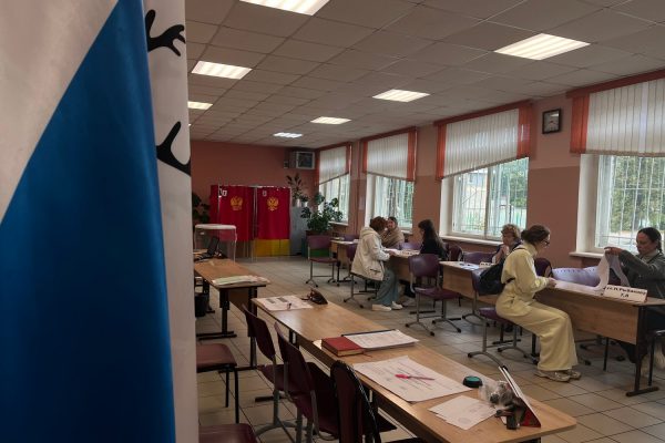 Нижегородский облизбирком огласил явку избирателей на 15:00 18 сентября