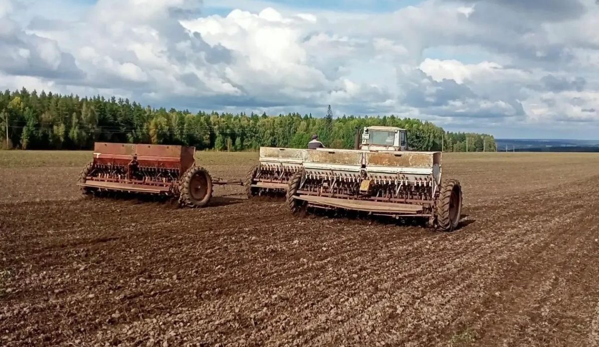 На 80% выполнен план по севу озимых в Нижнем Новгороде