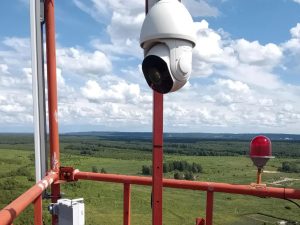 Количество камер в лесах Нижегородской области увеличено до&nbsp;205