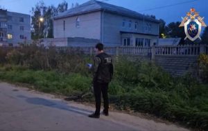 «Страх за детей теперь со мной постоянно»: водитель мусоровоза сбил ребенка на Бору