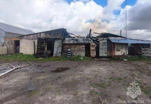 Пожар на ферме потушили в Большеболдинском округе