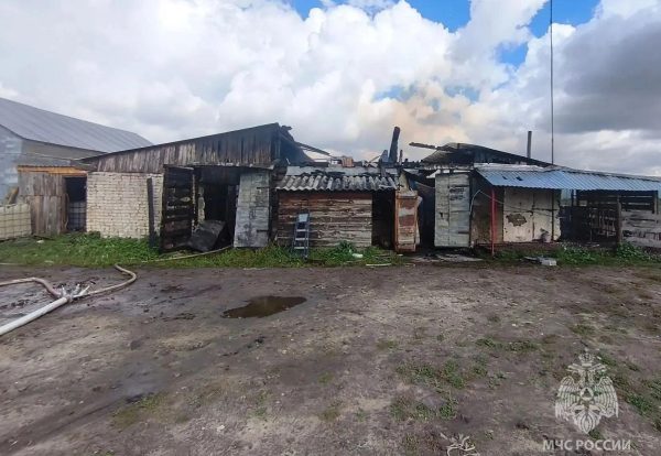 Пожар на ферме потушили в Большеболдинском округе