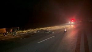 Водитель ВАЗа погиб после наезда на лося в Нижегородской области