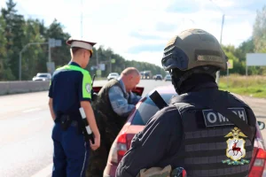 Шесть нарушителей паспортно-визового режима задержали на нижегородских дорогах