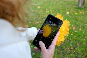 Сеть 4G появилась на родине памятника «Комар в мундире» в Нижегородской области