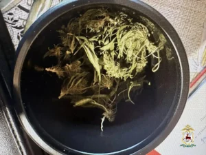 В Навашино задержали мужчину, выращивавшего запрещенные растения на участке